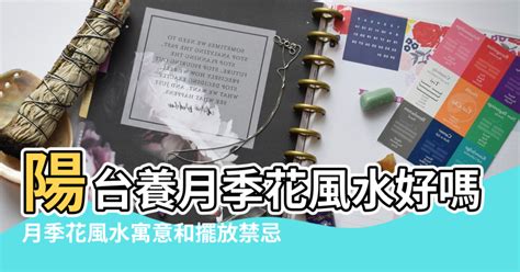 家裡放乾燥花好嗎|家中擺放乾花是大忌？透過基本風水知識 了解室內空。